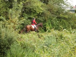 img_9792_web